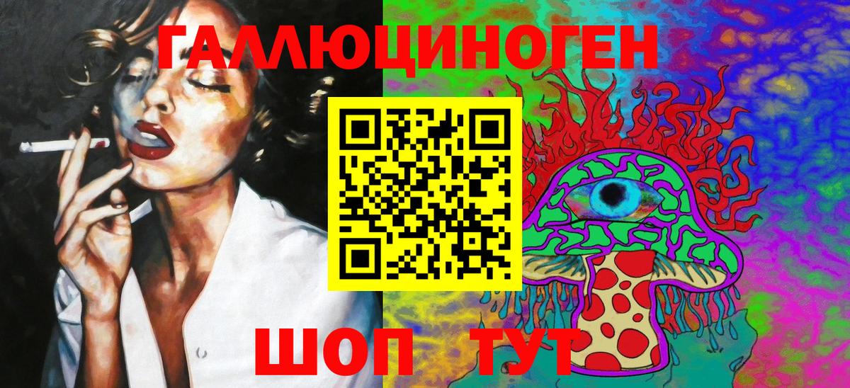 магазин  наркотиков  Псилоцибиновые грибы Magic Shrooms  Вход с VPN  Новоалтайск 