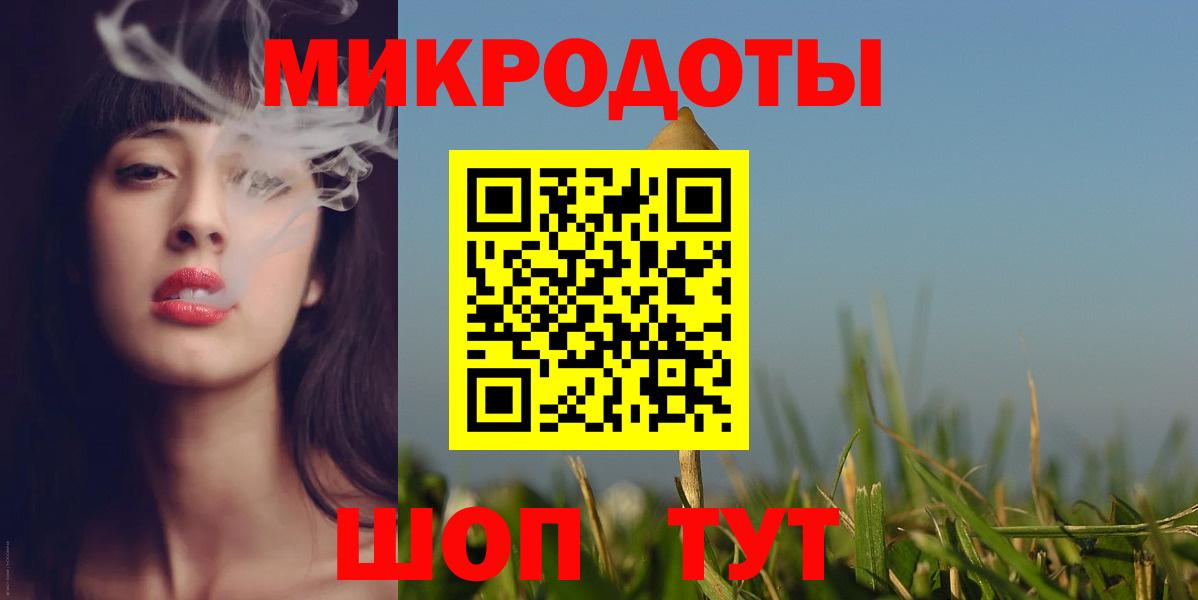 Псилоцибиновые грибы Psilocybine cubensis Новоалтайск